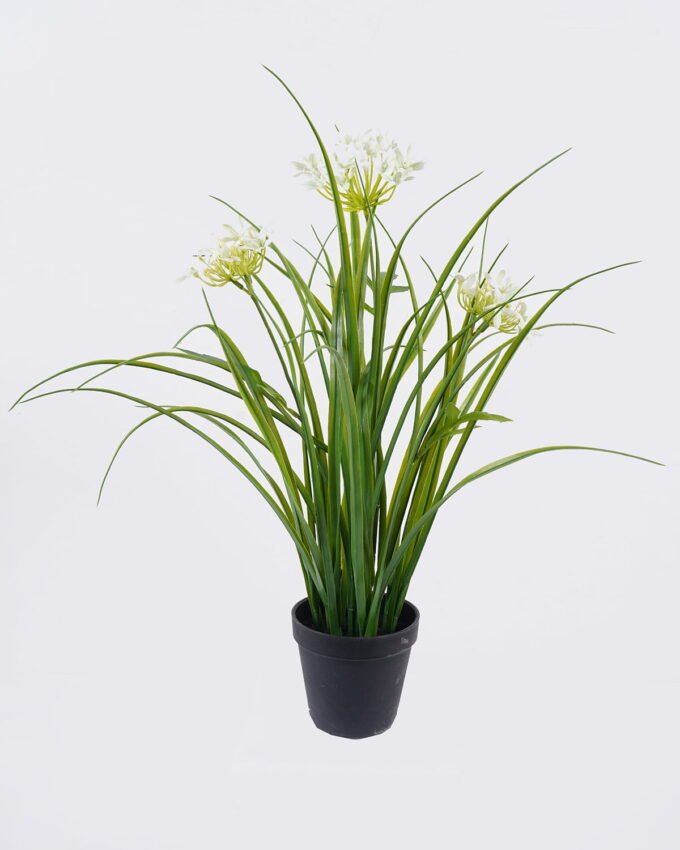 Artificial Flower Agapanthus in PP pot GS-39126007_4 Artificial Flower 30*27*56cm Agapanthus in PP pot GS-39126007 2026Jul 3,000+ sqm showroom with thousands of artificial flowers, plants & trees ready for global sourcing.