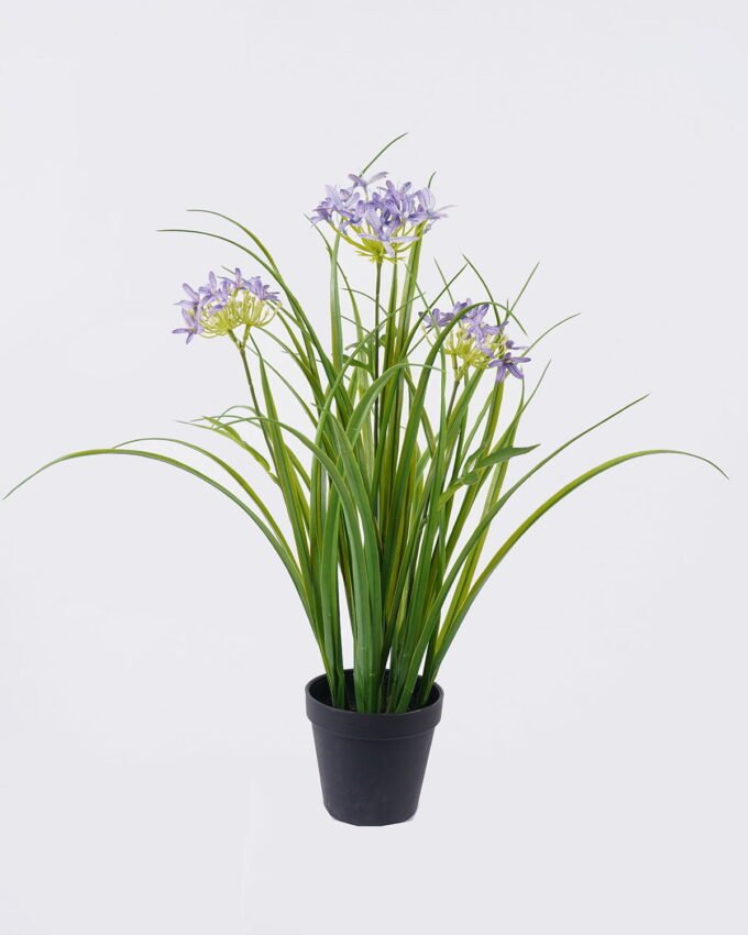 Artificial Flower Agapanthus in PP pot GS-39126007_5 Artificial Flower 30*27*56cm Agapanthus in PP pot GS-39126007 2026Jul 3,000+ sqm showroom with thousands of artificial flowers, plants & trees ready for global sourcing.