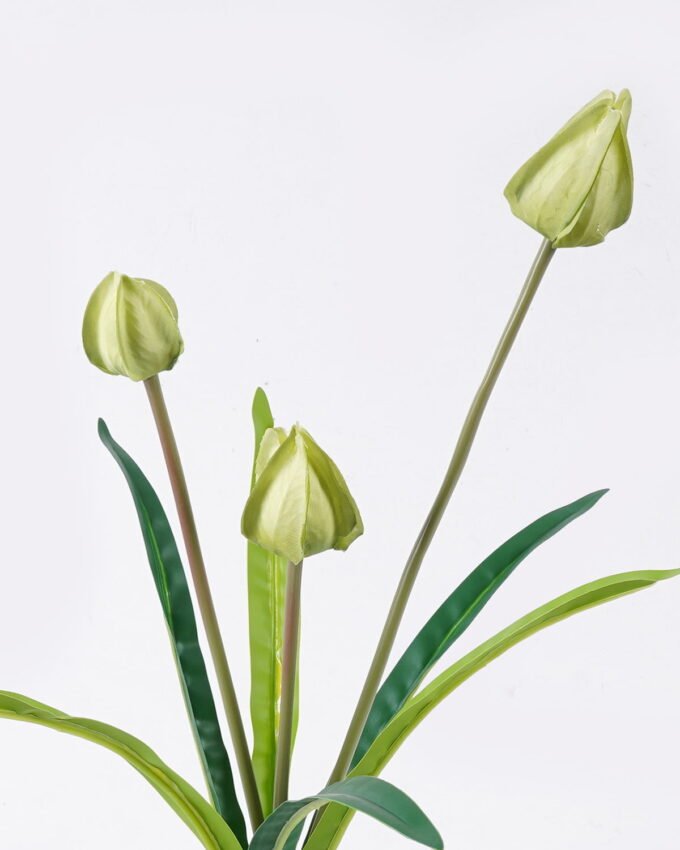 Artificial Flower 16*6*48cm  Agapetes lacei *3 bush GS-128J26005 2026Jun 3,000+ sqm showroom with thousands of artificial flowers, plants & trees ready for global sourcing.