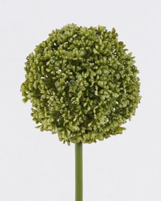Artificial Flower 10*10*53cm Allium Sphaerocephalon single stem GS-57926008 2026Aug 3,000+ sqm showroom with thousands of artificial flowers, plants & trees ready for global sourcing. Artificial Flower 10*10*53cm Allium Sphaerocephalon single stem GS-57926008 2026Aug 3,000+ sqm showroom with thousands of artificial flowers, plants & trees ready for global sourcing.