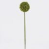 Artificial Flower 10*10*53cm Allium Sphaerocephalon single stem GS-57926008 2026Aug 3,000+ sqm showroom with thousands of artificial flowers, plants & trees ready for global sourcing.