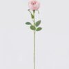 Artificial Flower Austin single stem GS-73826006-P2_3 Artificial Flower 15*10*61cm Austin single stem GS-73826006-P2 2026Aug 3,000+ sqm showroom with thousands of artificial flowers, plants & trees ready for global sourcing.