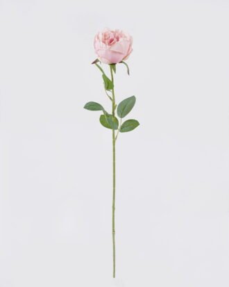 Artificial Flower 15*10*61cm Austin single stem GS-73826006-P2 2026Aug 3,000+ sqm showroom with thousands of artificial flowers, plants & trees ready for global sourcing. Artificial Flower 15*10*61cm Austin single stem GS-73826006-P2 2026Aug 3,000+ sqm showroom with thousands of artificial flowers, plants & trees ready for global sourcing.