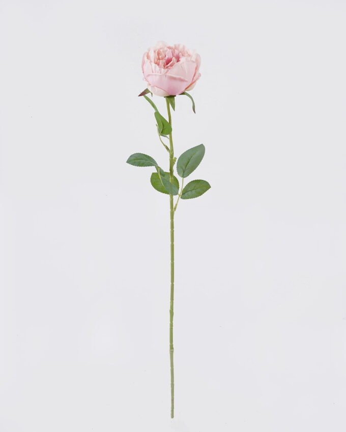 Artificial Flower 15*10*61cm Austin single stem GS-73826006-P2 2026Aug 3,000+ sqm showroom with thousands of artificial flowers, plants & trees ready for global sourcing.