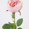 Artificial Flower Austin single stem GS-73826006-P2_8 Artificial Flower 15*10*61cm Austin single stem GS-73826006-P2 2026Aug 3,000+ sqm showroom with thousands of artificial flowers, plants & trees ready for global sourcing.
