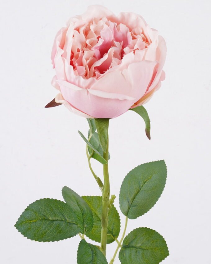 Artificial Flower 15*10*61cm Austin single stem GS-73826006-P2 2026Aug 3,000+ sqm showroom with thousands of artificial flowers, plants & trees ready for global sourcing.