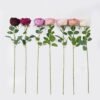 Artificial Flower Austin single stem GS-73826006_1 Artificial Flower 15*10*61cm Austin single stem GS-73826006 2026Aug 3,000+ sqm showroom with thousands of artificial flowers, plants & trees ready for global sourcing.