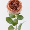 Artificial Flower Austin single stem GS-73826006_2 Artificial Flower 15*10*61cm Austin single stem GS-73826006 2026Aug 3,000+ sqm showroom with thousands of artificial flowers, plants & trees ready for global sourcing.