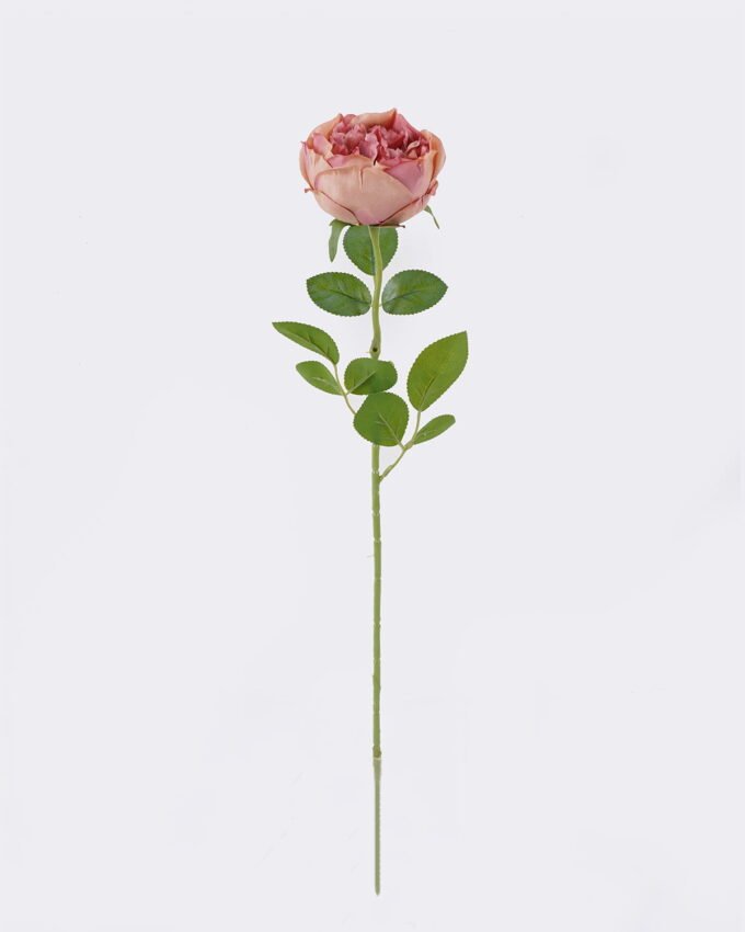 Artificial Flower Austin single stem GS-73826006_3 Artificial Flower 15*10*61cm Austin single stem GS-73826006 2026Aug 3,000+ sqm showroom with thousands of artificial flowers, plants & trees ready for global sourcing.