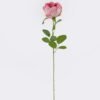 Artificial Flower Austin single stem GS-73826006_4 Artificial Flower 15*10*61cm Austin single stem GS-73826006 2026Aug 3,000+ sqm showroom with thousands of artificial flowers, plants & trees ready for global sourcing.