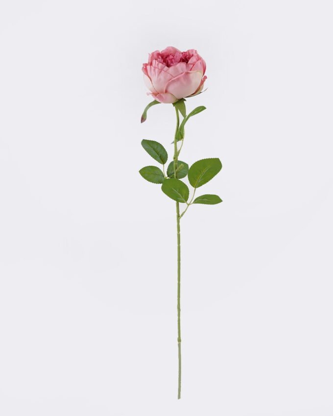 Artificial Flower Austin single stem GS-73826006_4 Artificial Flower 15*10*61cm Austin single stem GS-73826006 2026Aug 3,000+ sqm showroom with thousands of artificial flowers, plants & trees ready for global sourcing.