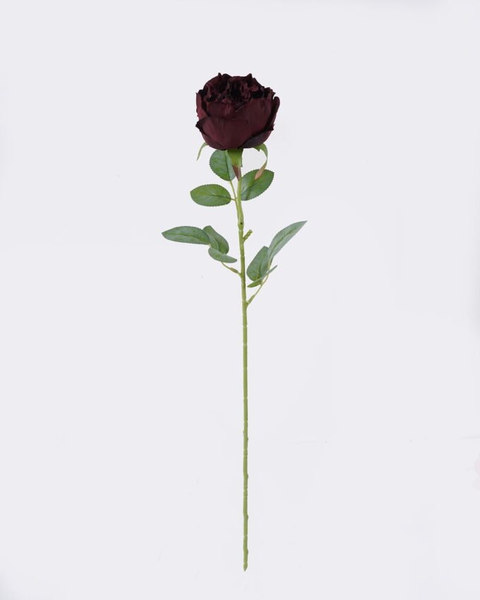 Artificial Flower Austin single stem GS-73826006_5 Artificial Flower 15*10*61cm Austin single stem GS-73826006 2026Aug 3,000+ sqm showroom with thousands of artificial flowers, plants & trees ready for global sourcing.