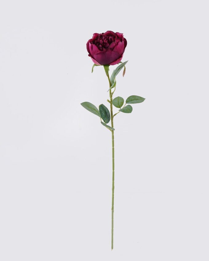 Artificial Flower Austin single stem GS-73826006_6 Artificial Flower 15*10*61cm Austin single stem GS-73826006 2026Aug 3,000+ sqm showroom with thousands of artificial flowers, plants & trees ready for global sourcing.