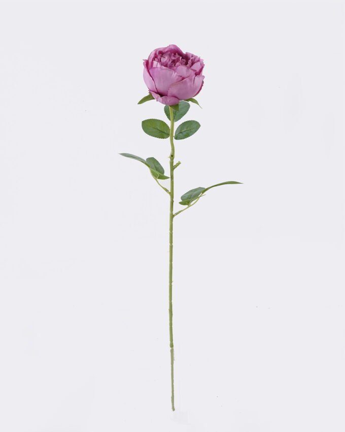 Artificial Flower Austin single stem GS-73826006_7 Artificial Flower 15*10*61cm Austin single stem GS-73826006 2026Aug 3,000+ sqm showroom with thousands of artificial flowers, plants & trees ready for global sourcing.