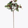 Artificial Flower Bilberry single stem GS-83626009-R2 Artificial Flower 12*7*27cm Bilberry single stem GS-83626009-R2 2026SEP 3,000+ sqm showroom with thousands of artificial flowers, plants & trees ready for global sourcing.
