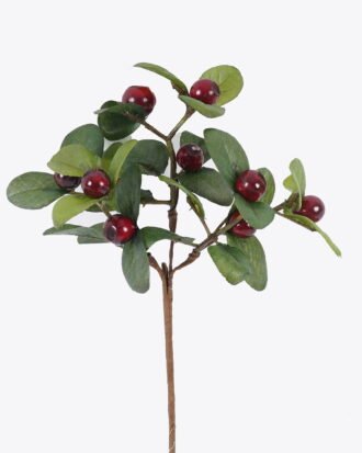 Artificial Flower 12*7*27cm Bilberry single stem GS-83626009-R2 2026SEP 3,000+ sqm showroom with thousands of artificial flowers, plants & trees ready for global sourcing. Artificial Flower 12*7*27cm Bilberry single stem GS-83626009-R2 2026SEP 3,000+ sqm showroom with thousands of artificial flowers, plants & trees ready for global sourcing.