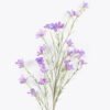 Artificial Flower Bluebells single stem GS-59026007-Z1_1 Artificial Flower 23*5*87cm Bluebells single stem GS-59026007-Z1 2026Aug 3,000+ sqm showroom with thousands of artificial flowers, plants & trees ready for global sourcing.