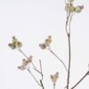 Artificial Flower Blueberry 11 single stem GS-51626002_2 Artificial Flower 26*5*81cm Blueberry *11 single stem GS-51626002 2026Aug 3,000+ sqm showroom with thousands of artificial flowers, plants & trees ready for global sourcing.