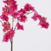 Artificial Flower Bougainvillea speetabilis single stem GS-35126018_2 Artificial Flower 28*8*128cm Bougainvillea speetabilis single stem GS-35126018 2026Jul 3,000+ sqm showroom with thousands of artificial flowers, plants & trees ready for global sourcing.