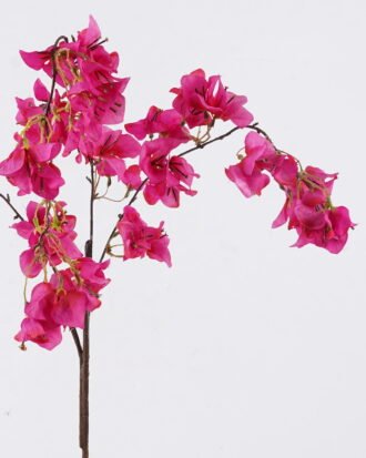 Artificial Flower 28*8*128cm Bougainvillea speetabilis single stem GS-35126018 2026Jul 3,000+ sqm showroom with thousands of artificial flowers, plants & trees ready for global sourcing. Artificial Flower 28*8*128cm Bougainvillea speetabilis single stem GS-35126018 2026Jul 3,000+ sqm showroom with thousands of artificial flowers, plants & trees ready for global sourcing.