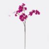 Artificial Flower Bougainvillea speetabilis single stem GS-35126018_6 Artificial Flower 28*8*128cm Bougainvillea speetabilis single stem GS-35126018 2026Jul 3,000+ sqm showroom with thousands of artificial flowers, plants & trees ready for global sourcing.