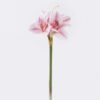 Artificial Flower Bush lily 3 single stem moist real touch GS-35026008-P3 Artificial Flower 17*6*49cm Bush lily *3 single stem/moist real touch GS-35026008-P3 2026Jul 3,000+ sqm showroom with thousands of artificial flowers, plants & trees ready for global sourcing.