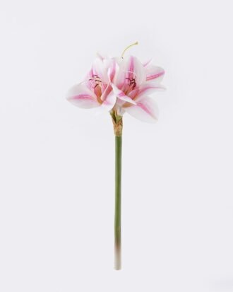 Artificial Flower 17*6*49cm Bush lily *3 single stem/moist real touch GS-35026008-P3 2026Jul 3,000+ sqm showroom with thousands of artificial flowers, plants & trees ready for global sourcing. Artificial Flower 17*6*49cm Bush lily *3 single stem/moist real touch GS-35026008-P3 2026Jul 3,000+ sqm showroom with thousands of artificial flowers, plants & trees ready for global sourcing.