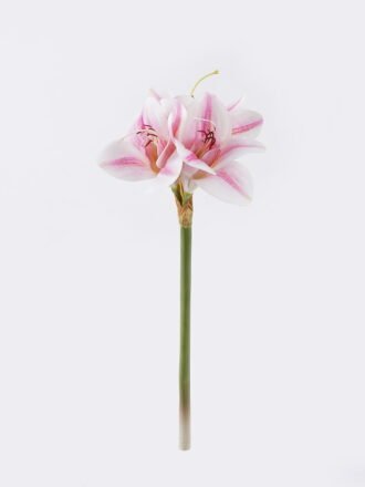 Artificial Flower 17*6*49cm Bush lily *3 single stem/moist real touch GS-35026008-W1 2026Jul 3,000+ sqm showroom with thousands of artificial flowers, plants & trees ready for global sourcing.