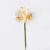 Artificial Flower Bush lily 3 single stem moist real touch GS-35026008-W1 Artificial Flower 17*6*49cm Bush lily *3 single stem/moist real touch GS-35026008-W1 2026Jul 3,000+ sqm showroom with thousands of artificial flowers, plants & trees ready for global sourcing.