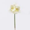 Artificial Flower Bush lily 3 single stem moist real touch GS-35026008-W2 Artificial Flower 17*6*49cm Bush lily *3 single stem/moist real touch GS-35026008-W2 2026Jul 3,000+ sqm showroom with thousands of artificial flowers, plants & trees ready for global sourcing.