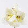Artificial Flower Bush lily 3 single stem moist real touch GS-35026008-W2_2 Artificial Flower 17*6*49cm Bush lily *3 single stem/moist real touch GS-35026008-W2 2026Jul 3,000+ sqm showroom with thousands of artificial flowers, plants & trees ready for global sourcing.