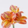 Artificial Flower Bush lily 3 single stem moist real touch GS-35026008-Y1_2 Artificial Flower 17*6*49cm Bush lily *3 single stem/moist real touch GS-35026008-Y1 2026Jul 3,000+ sqm showroom with thousands of artificial flowers, plants & trees ready for global sourcing.