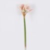 Artificial Flower Bush lily 4 single stem moist real touch GS-35026006-P1 Artificial Flower 21*15*64cm Bush lily *4 single stem/moist real touch GS-35026006-P1 2026Jul 3,000+ sqm showroom with thousands of artificial flowers, plants & trees ready for global sourcing.