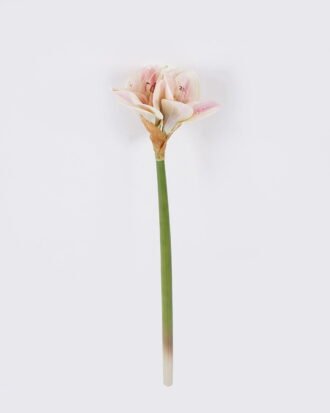 Artificial Flower 21*15*64cm Bush lily *4 single stem/moist real touch GS-35026006-P1 2026Jul 3,000+ sqm showroom with thousands of artificial flowers, plants & trees ready for global sourcing. Artificial Flower 21*15*64cm Bush lily *4 single stem/moist real touch GS-35026006-P1 2026Jul 3,000+ sqm showroom with thousands of artificial flowers, plants & trees ready for global sourcing.