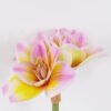 Artificial Flower 21*15*64cm Bush lily *4 single stem/moist real touch GS-35026006-P2 2026Jul 3,000+ sqm showroom with thousands of artificial flowers, plants & trees ready for global sourcing.