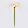 Artificial Flower Bush lily 4 single stem moist real touch GS-35026006-W1 Artificial Flower 21*15*64cm Bush lily *4 single stem/moist real touch GS-35026006-W1 2026Jul 3,000+ sqm showroom with thousands of artificial flowers, plants & trees ready for global sourcing.