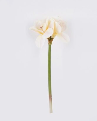 Artificial Flower 21*15*64cm Bush lily *4 single stem/moist real touch GS-35026006-W1 2026Jul 3,000+ sqm showroom with thousands of artificial flowers, plants & trees ready for global sourcing. Artificial Flower 21*15*64cm Bush lily *4 single stem/moist real touch GS-35026006-W1 2026Jul 3,000+ sqm showroom with thousands of artificial flowers, plants & trees ready for global sourcing.
