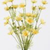 Artificial Flower Calliopsis 5 bouquet GS-00526041-Y1_2 Artificial Flower 20*9*78cm Calliopsis *5 bouquet GS-00526041-Y1 2026Jun 3,000+ sqm showroom with thousands of artificial flowers, plants & trees ready for global sourcing.