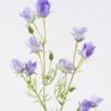 Artificial Flower Campanula 2 single stem GS-00526032-Z1_1 Artificial Flower 13*6*71cm Campanula *2 single stem GS-00526032-Z1 2026Jun 3,000+ sqm showroom with thousands of artificial flowers, plants & trees ready for global sourcing.