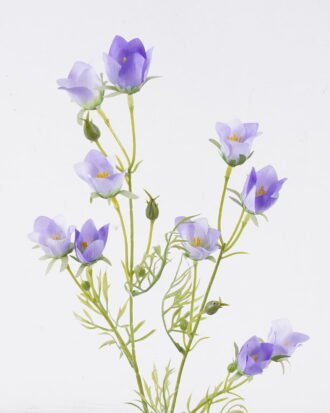 Artificial Flower 13*6*71cm Campanula *2 single stem GS-00526032-Z1 2026Jun 3,000+ sqm showroom with thousands of artificial flowers, plants & trees ready for global sourcing. Artificial Flower 13*6*71cm Campanula *2 single stem GS-00526032-Z1 2026Jun 3,000+ sqm showroom with thousands of artificial flowers, plants & trees ready for global sourcing.