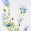 Artificial Flower Campanula 2 single stem GS-00526032_2 Artificial Flower 13*6*71cm Campanula *2 single stem GS-00526032 2026Jun 3,000+ sqm showroom with thousands of artificial flowers, plants & trees ready for global sourcing.