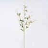Artificial Flower Campanula 28 single stem GS-71626003-C1_1 Artificial Flower 22*6*110cm Campanula *28 single stem GS-71626003-C1 2026Aug 3,000+ sqm showroom with thousands of artificial flowers, plants & trees ready for global sourcing.