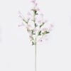 Artificial Flower 22*6*110cm Campanula *28 single stem GS-71626003-P1 2026Aug 3,000+ sqm showroom with thousands of artificial flowers, plants & trees ready for global sourcing.