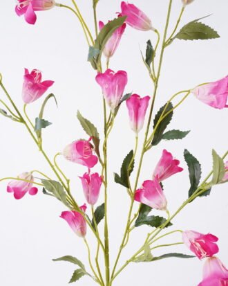 Artificial Flower 22*6*110cm Campanula *28 single stem GS-71626003-R1 2026Aug 3,000+ sqm showroom with thousands of artificial flowers, plants & trees ready for global sourcing. Artificial Flower 22*6*110cm Campanula *28 single stem GS-71626003-R1 2026Aug 3,000+ sqm showroom with thousands of artificial flowers, plants & trees ready for global sourcing.