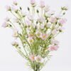 Artificial Flower Campanula 5 bouquet GS-00526040-P1_2 Artificial Flower 20*9*71cm Campanula *5 bouquet GS-00526040-P1 2026Jun 3,000+ sqm showroom with thousands of artificial flowers, plants & trees ready for global sourcing.