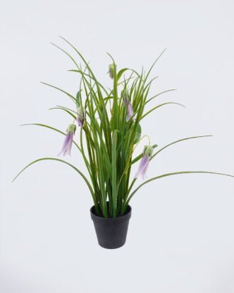 Artificial Flower 30*23*52cm Campanula in PP pot GS-39126006-Z1 2026Jul 3,000+ sqm showroom with thousands of artificial flowers, plants & trees ready for global sourcing. Artificial Flower 30*23*52cm Campanula in PP pot GS-39126006-Z1 2026Jul 3,000+ sqm showroom with thousands of artificial flowers, plants & trees ready for global sourcing.