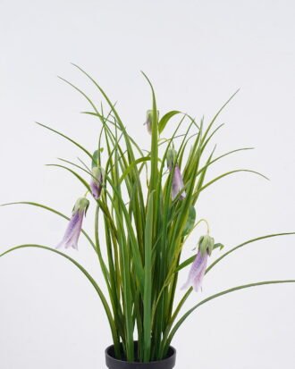 Artificial Flower 30*23*52cm Campanula in PP pot GS-39126006-Z1 2026Jul 3,000+ sqm showroom with thousands of artificial flowers, plants & trees ready for global sourcing. Artificial Flower 30*23*52cm Campanula in PP pot GS-39126006-Z1 2026Jul 3,000+ sqm showroom with thousands of artificial flowers, plants & trees ready for global sourcing.