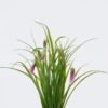Artificial Flower Campanula in PP pot GS-39126006_2 Artificial Flower 30*23*52cm Campanula in PP pot GS-39126006 2026Jul 3,000+ sqm showroom with thousands of artificial flowers, plants & trees ready for global sourcing.
