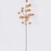 Artificial Flower Cape gooseberry single stem GS-71826003-K1_4 Artificial Flower 28*7*100cm Cape gooseberry single stem GS-71826003-K1 2026Aug 3,000+ sqm showroom with thousands of artificial flowers, plants & trees ready for global sourcing.