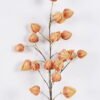 Artificial Flower Cape gooseberry single stem GS-71826003-K1_8 Artificial Flower 28*7*100cm Cape gooseberry single stem GS-71826003-K1 2026Aug 3,000+ sqm showroom with thousands of artificial flowers, plants & trees ready for global sourcing.